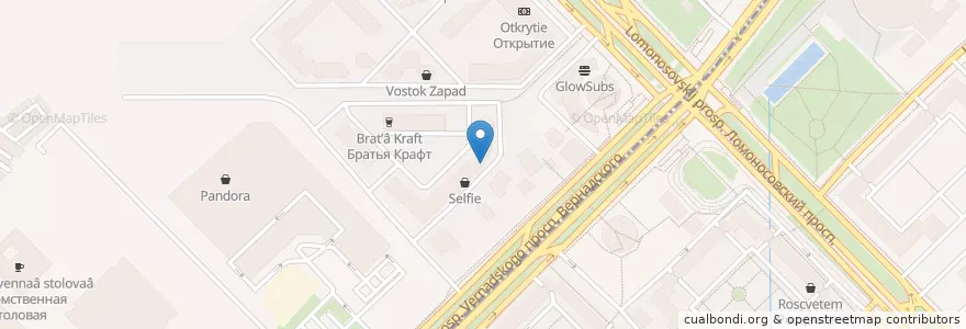 Mapa de ubicacion de Sante en روسيا, Центральный Федеральный Округ, Москва.