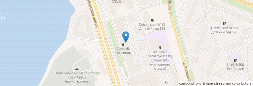 Mapa de ubicacion de ЦЕХ85 en Russia, Northwestern Federal District, Leningrad Oblast, Saint Petersburg, Vyborgsky District, Округ Шувалово-Озерки.