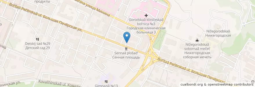 Mapa de ubicacion de Государственная ветеринарная клиника en Russland, Föderationskreis Wolga, Oblast Nischni Nowgorod, Stadtkreis Nischni Nowgorod.