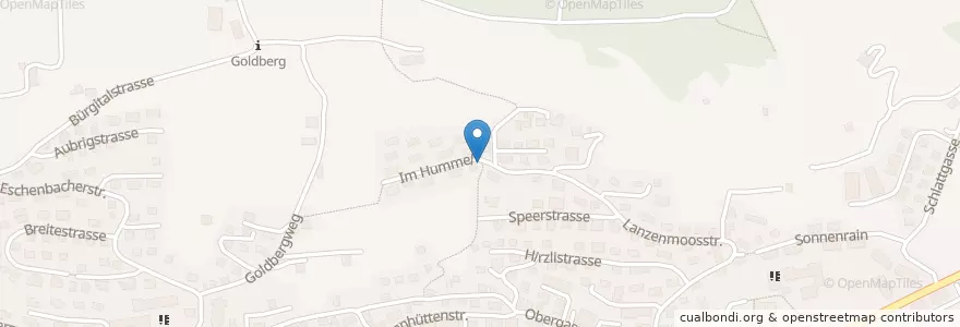 Mapa de ubicacion de VVS Ruhebank Nr. 44 en Suiza, San Galo, Wahlkreis See-Gaster, Schmerikon.