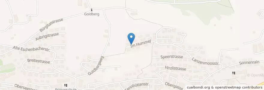 Mapa de ubicacion de Quartierbrunnen Hummel en Suíça, Sankt Gallen, Wahlkreis See-Gaster, Schmerikon.