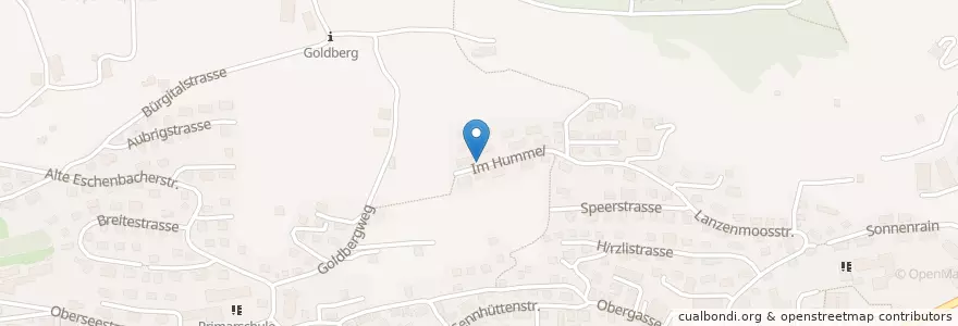 Mapa de ubicacion de Bänkli beim Quartierbrunnen en 스위스, Sankt Gallen, Wahlkreis See-Gaster, Schmerikon.