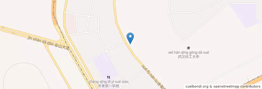 Mapa de ubicacion de 武汉市第四医院常青分院 en 中国, 湖北省, 武汉市, 东西湖区, 金银湖街道, 常青花园新区街道.