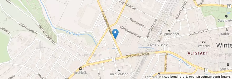 Mapa de ubicacion de Jesus Rice! en Schweiz/Suisse/Svizzera/Svizra, Zürich, Bezirk Winterthur, Winterthur.