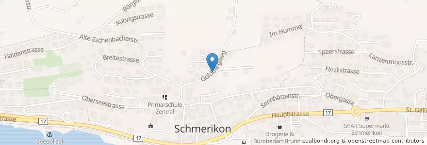 Mapa de ubicacion de VVS Ruhebank Nr. 42 en Suiza, San Galo, Wahlkreis See-Gaster, Schmerikon.