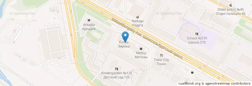 Mapa de ubicacion de EveryDayEnglish en Russie, District Fédéral Du Nord-Ouest, Oblast De Léningrad, Saint-Pétersbourg, Невский Район, Округ Рыбацкое.