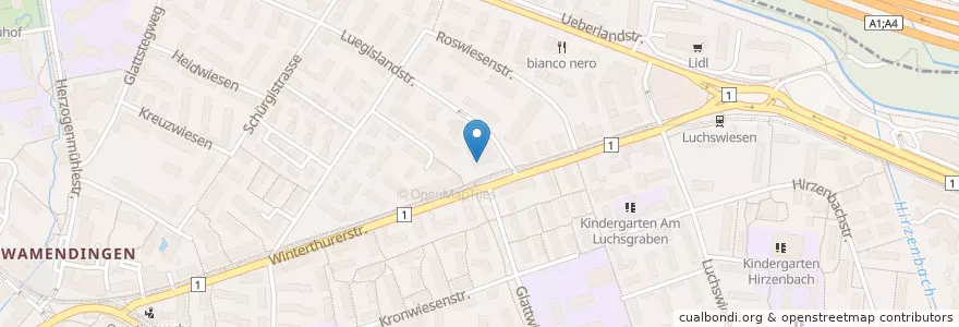 Mapa de ubicacion de Hol- und Bring-Bibliothek en スイス, チューリッヒ, Bezirk Zürich, Zürich.