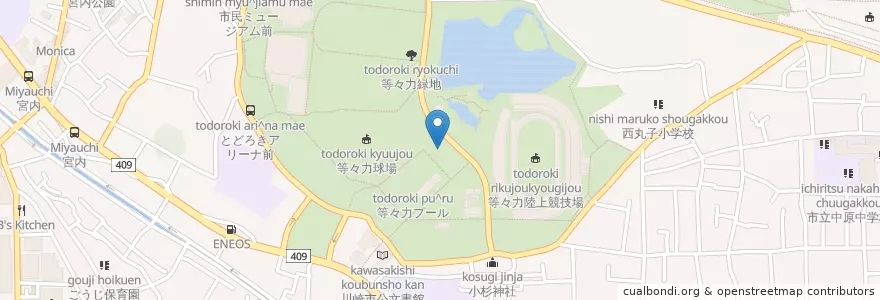 Mapa de ubicacion de 中央駐車場 en Япония, Канагава, Кавасаки, Накахара.