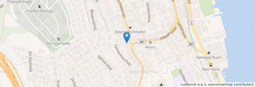 Mapa de ubicacion de moana en Switzerland, Zurich, District Zurich, Zurich.