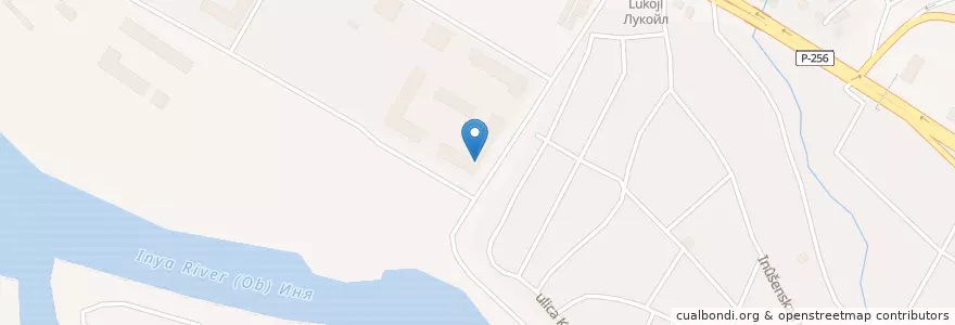 Mapa de ubicacion de Вет.клиника Оберег en Rusia, Сибирский Федеральный Округ, Wilayah Novosibirsk, Городской Округ Новосибирск.