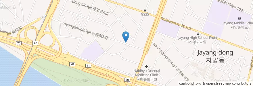Mapa de ubicacion de 고기제작소 en کره جنوبی, سئول, 광진구, 자양4동.