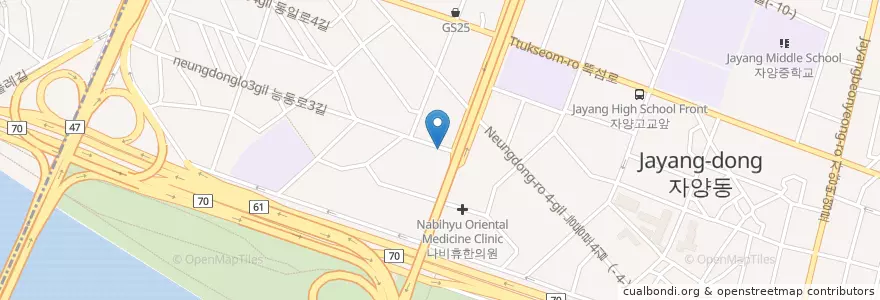 Mapa de ubicacion de 혜성약국 en South Korea, Seoul, Gwangjin-Gu, Jayang 4(Sa)-Dong.
