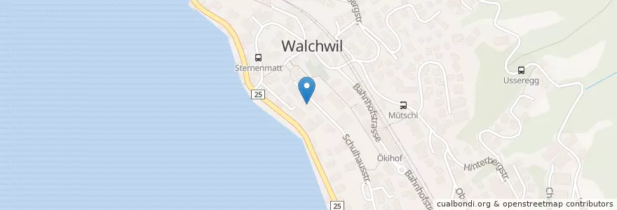 Mapa de ubicacion de Engelmatt en Schweiz/Suisse/Svizzera/Svizra, Zug, Walchwil.