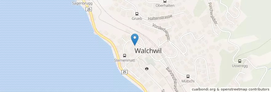Mapa de ubicacion de Sternenmatt en Suiza, Zug, Walchwil.