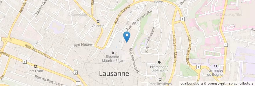 Mapa de ubicacion de Bibliothèque cantonale et universitaire de Lausanne, site Riponne en Switzerland, Vaud, District De Lausanne, Lausanne.