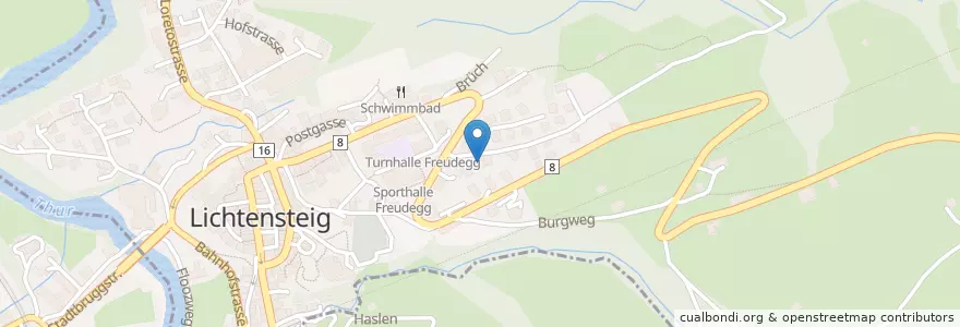 Mapa de ubicacion de Tierpraxis Burghalde en سوئیس, Sankt Gallen, Wahlkreis Toggenburg, Lichtensteig.