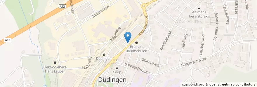 Mapa de ubicacion de Thai Gourmet en Zwitserland, Fribourg/Freiburg, Sensebezirk, Düdingen.
