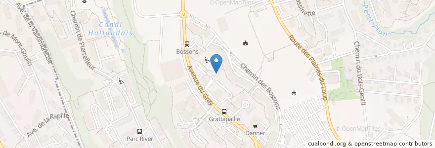 Mapa de ubicacion de Centre de quartier des Bossons - Plaines-du-Loup en Svizzera, Vaud, District De Lausanne, Lausanne.