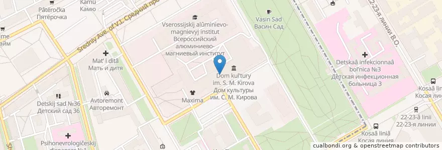Mapa de ubicacion de Домино en Russia, Northwestern Federal District, Leningrad Oblast, Saint Petersburg, Василеостровский Район, Округ Гавань.