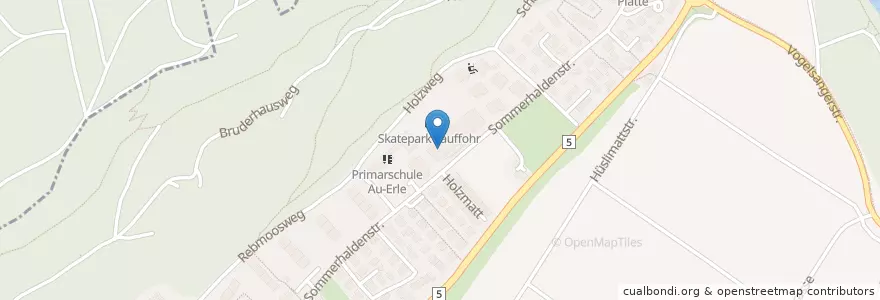 Mapa de ubicacion de Realschule Langmatt en Suisse, Argovie, Bezirk Brugg, Brugg.