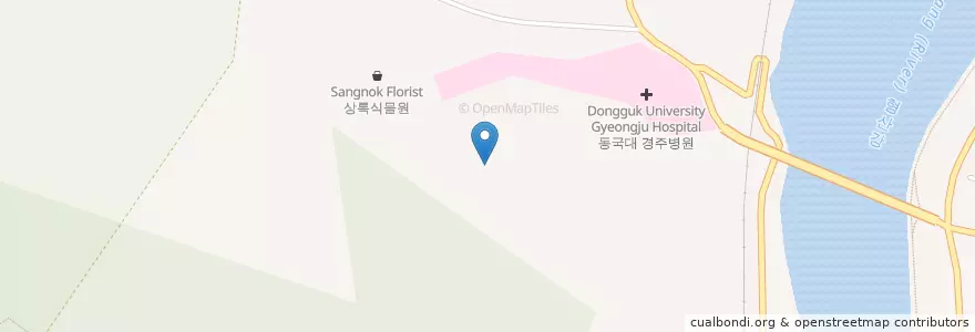 Mapa de ubicacion de 성건동 en Corea Del Sur, Gyeongsang Del Norte, 경주시, 성건동.