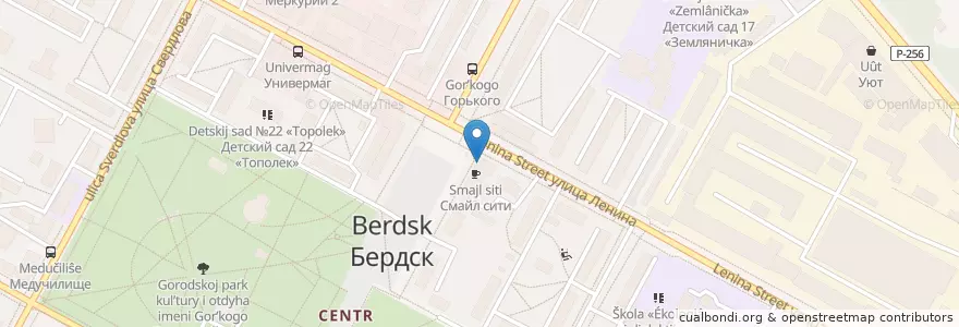 Mapa de ubicacion de Бердская en Russia, Siberian Federal District, Novosibirsk Oblast, Berdsk Municipality.