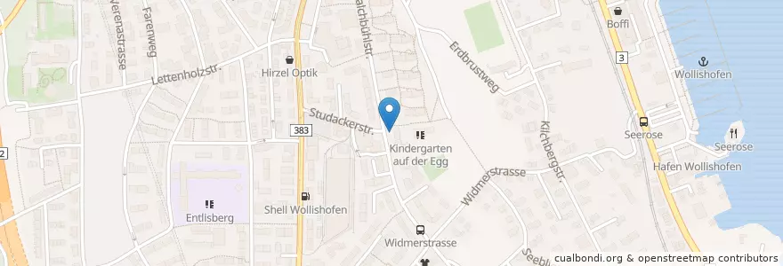 Mapa de ubicacion de Brunnentrog en Switzerland, Zurich, District Zurich, Zurich.