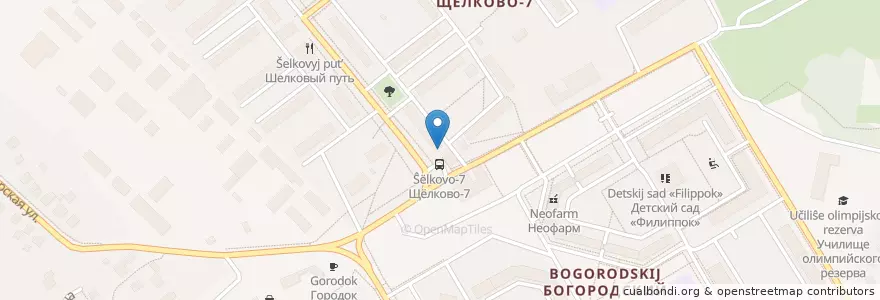 Mapa de ubicacion de Отделение связи №141107 en ロシア, 中央連邦管区, モスクワ州, Городской Округ Щёлково.