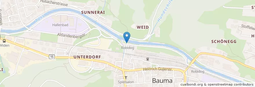 Mapa de ubicacion de Robidog en Schweiz/Suisse/Svizzera/Svizra, Zürich, Bezirk Pfäffikon, Bauma.