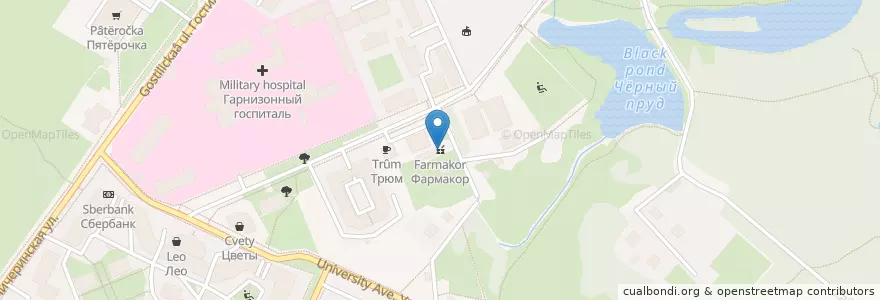Mapa de ubicacion de Фармакор en ロシア, 北西連邦管区, レニングラード州, サンクト ペテルブルク, Петродворцовый Район, Петергоф.