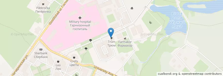 Mapa de ubicacion de Трюм en Russland, Föderationskreis Nordwest, Oblast Leningrad, Sankt Petersburg, Rajon Petrodworez, Peterhof.