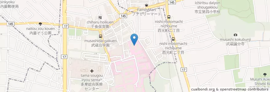 Mapa de ubicacion de 東京都立 府中看護専門学校 (Tokyo Metropolitan Fuchu School of Nursing) en اليابان, 東京都, 国分寺市, 府中市.