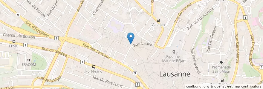 Mapa de ubicacion de La Pinte Besson en 스위스, Vaud, District De Lausanne, 로잔.
