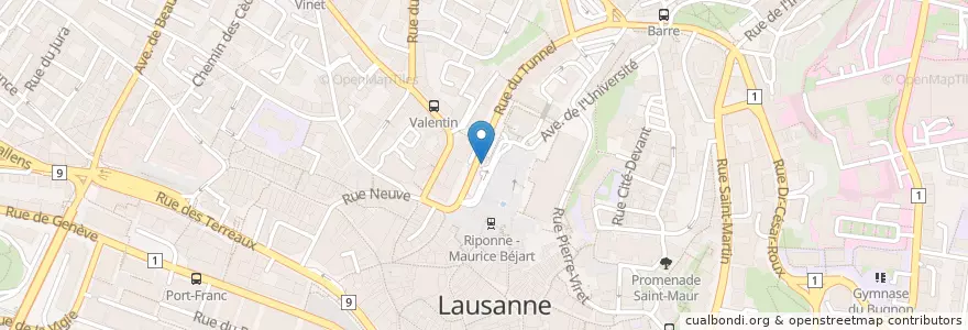 Mapa de ubicacion de Lausanne Parking Riponne en سوئیس, Vaud, District De Lausanne, Lausanne.