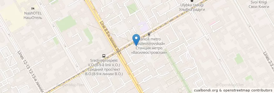 Mapa de ubicacion de Хычины en Russia, Northwestern Federal District, Leningrad Oblast, Saint Petersburg, Василеостровский Район, Округ № 7.