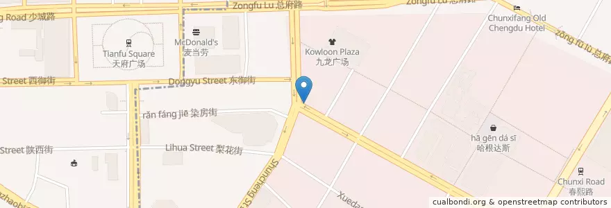 Mapa de ubicacion de 盐市口街道 (Yanshikou) en Cina, Sichuan, 成都市, 锦江区 (Jinjiang), 盐市口街道 (Yanshikou).