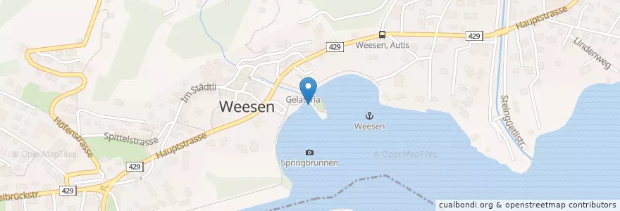 Mapa de ubicacion de Weesen (See) en スイス, ザンクト・ガレン州, Wahlkreis See-Gaster, Weesen.