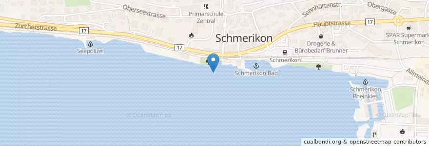 Mapa de ubicacion de Schmerikon (See) en Svizzera, San Gallo, Wahlkreis See-Gaster, Schmerikon.