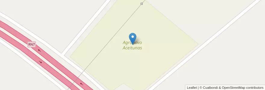 Mapa de ubicacion de Agronovo Aceitunas en Argentina, Chile, Mendoza, Departamento San Martín, Distrito Palmira.
