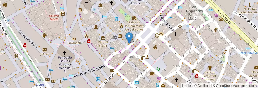 Mapa de ubicacion de Allium Restaurant en Sepanyol, Catalunya, Barcelona, Barcelonès, Barcelona.