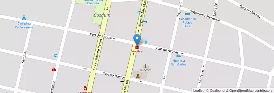 Mapa de ubicacion de Ardiles en Arjantin, Córdoba, Departamento Punilla, Pedanía Rosario, Municipio De Cosquín, Cosquín.