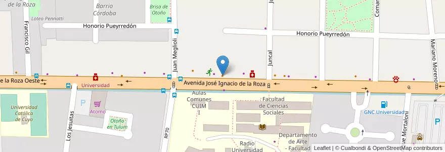Mapa de ubicacion de Artesian Bar y Restaurant en Argentinien, San Juan, Chile, Rivadavia.
