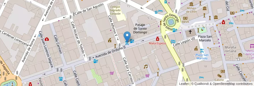 Mapa de ubicacion de Avenida Ordoño II en スペイン, カスティーリャ・イ・レオン州, León, Tierra De León, レオン.