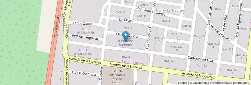Mapa de ubicacion de B Patricia Heitman en Аргентина, Сальта, Capital, Municipio De Salta.