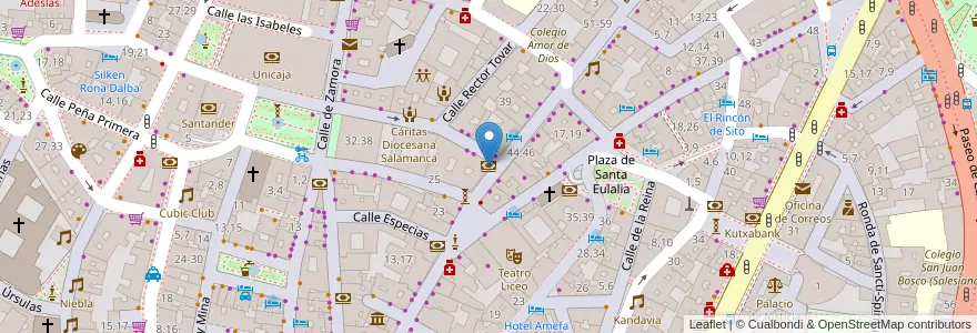 Mapa de ubicacion de Bankia en スペイン, カスティーリャ・イ・レオン州, サラマンカ, Campo De Salamanca, サラマンカ.