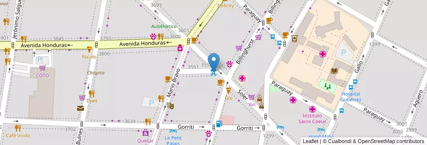 Mapa de ubicacion de Billinghurst, Recoleta en 阿根廷, Ciudad Autónoma De Buenos Aires, Comuna 2, 布宜诺斯艾利斯.