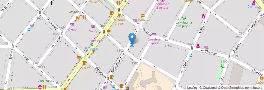 Mapa de ubicacion de Billinghurst y Mansilla, Recoleta en Argentina, Ciudad Autónoma De Buenos Aires, Comuna 2, Buenos Aires.