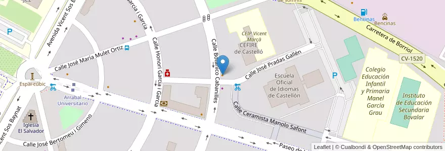 Mapa de ubicacion de Botànic Café en إسبانيا, منطقة بلنسية, Castelló / Castellón, La Plana Alta, Castelló De La Plana.