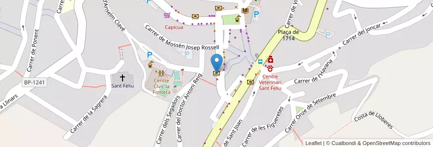 Mapa de ubicacion de CaixaBank en Spanje, Catalonië, Barcelona, Vallès Oriental, Sant Feliu De Codines.