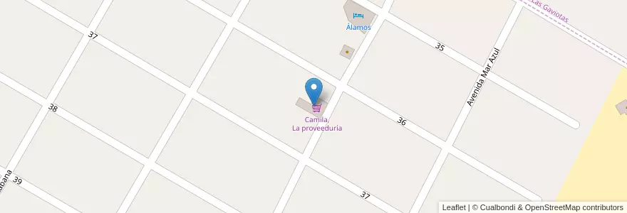 Mapa de ubicacion de Camila, La proveeduría en 阿根廷, 布宜诺斯艾利斯省, Partido De Villa Gesell, Mar Azul.